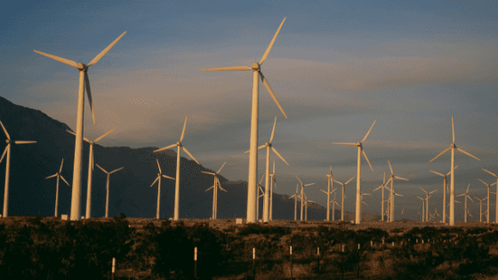 Rows of wind turbines on a desert plain at dusk